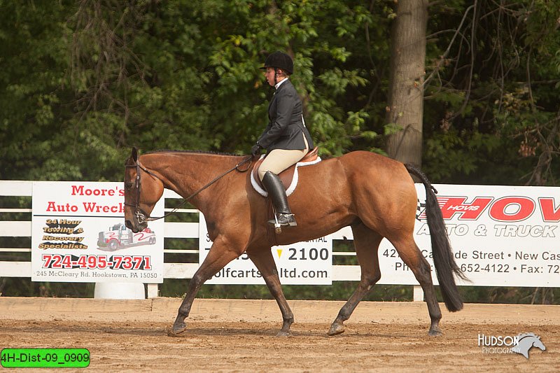 4H-Dist-09_0909.jpg