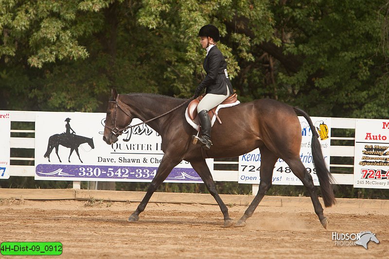 4H-Dist-09_0912.jpg