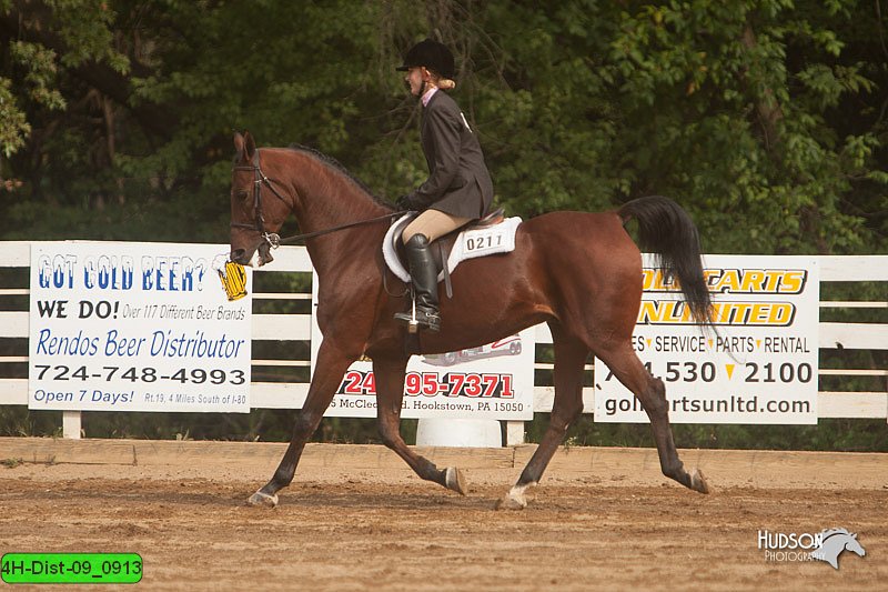 4H-Dist-09_0913.jpg
