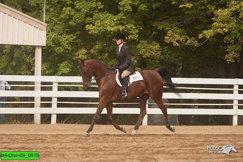 4H-Dist-09_0915.jpg