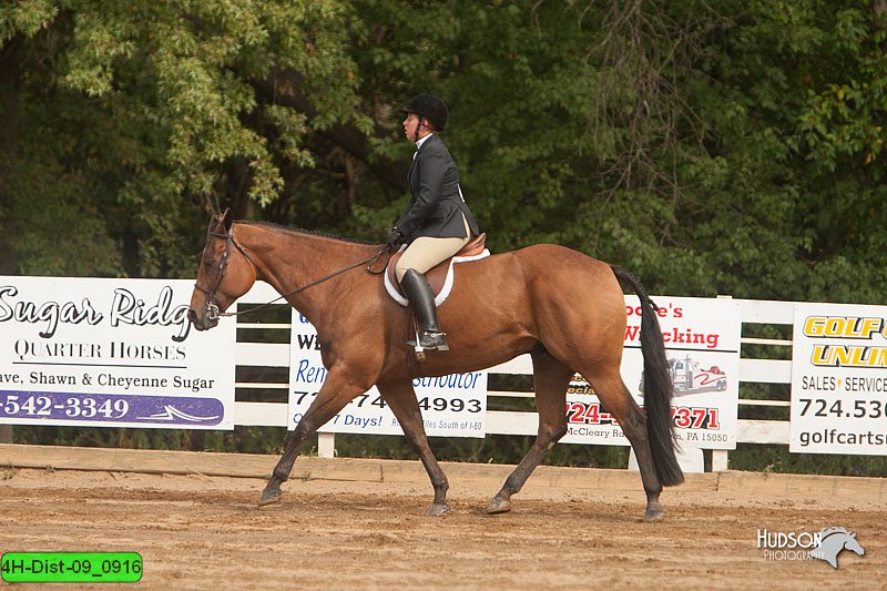 4H-Dist-09_0916.jpg