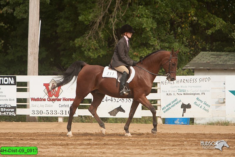 4H-Dist-09_0917.jpg