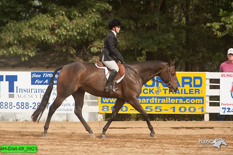 4H-Dist-09_0921.jpg