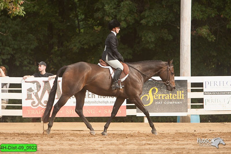 4H-Dist-09_0922.jpg