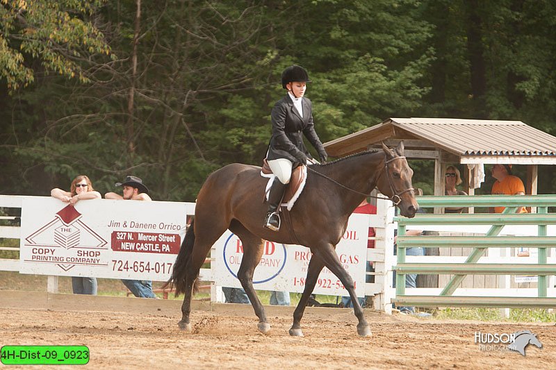 4H-Dist-09_0923.jpg