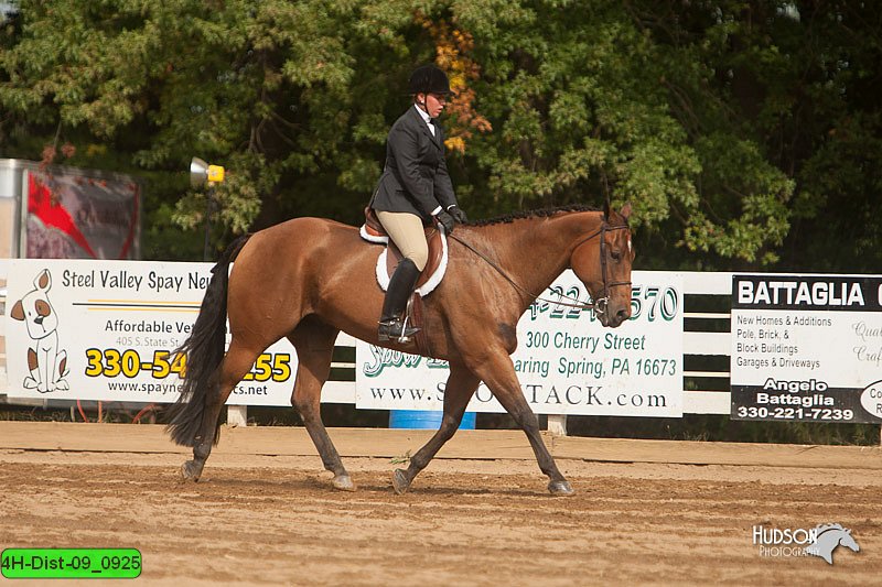 4H-Dist-09_0925.jpg