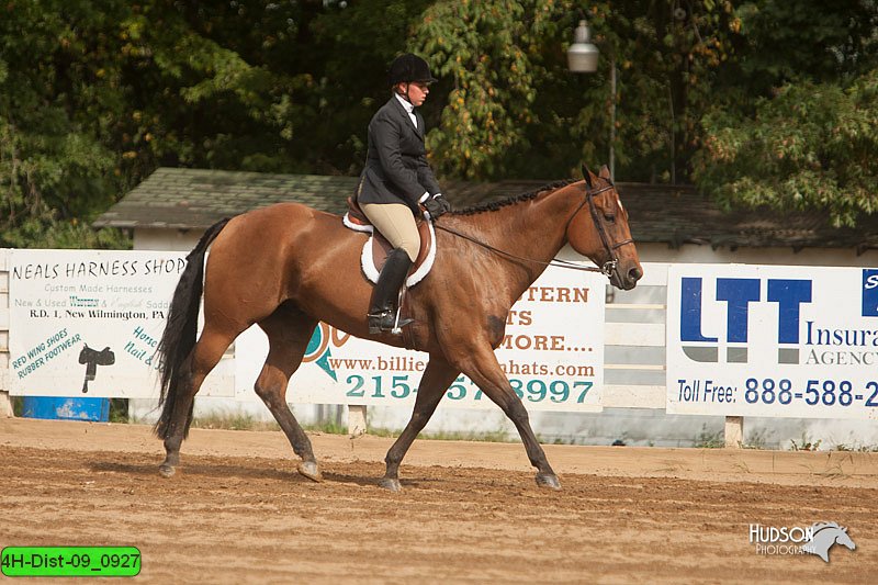4H-Dist-09_0927.jpg