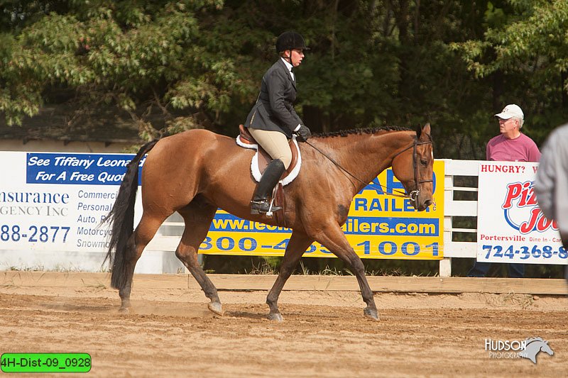 4H-Dist-09_0928.jpg