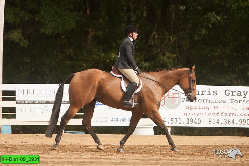 4H-Dist-09_0931.jpg