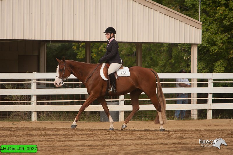 4H-Dist-09_0937.jpg