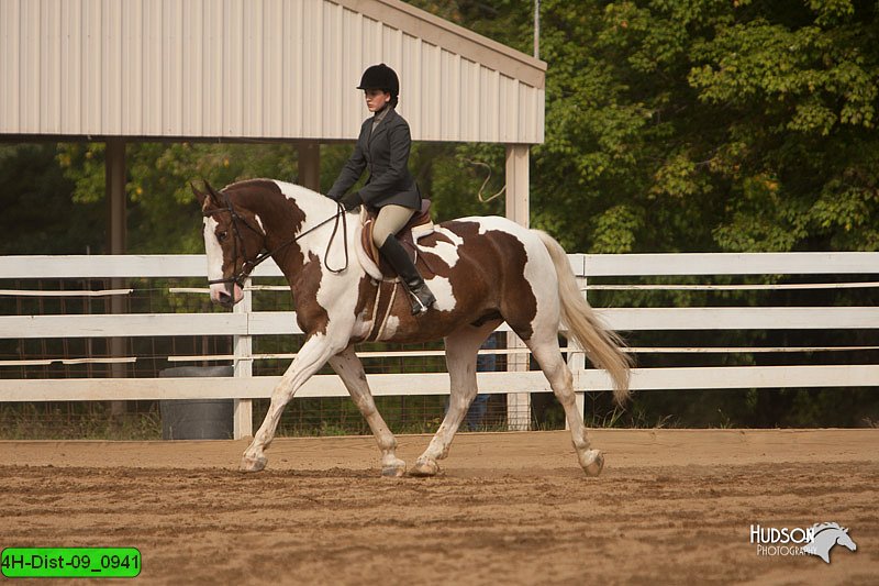 4H-Dist-09_0941.jpg