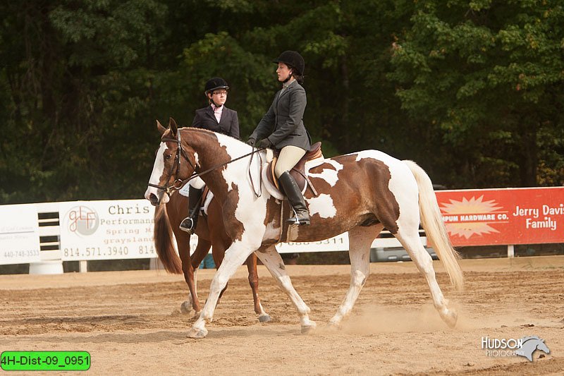4H-Dist-09_0951.jpg