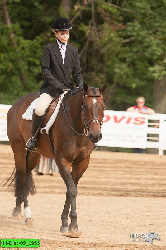 4H-Dist-09_0953.jpg