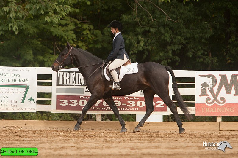 4H-Dist-09_0964.jpg