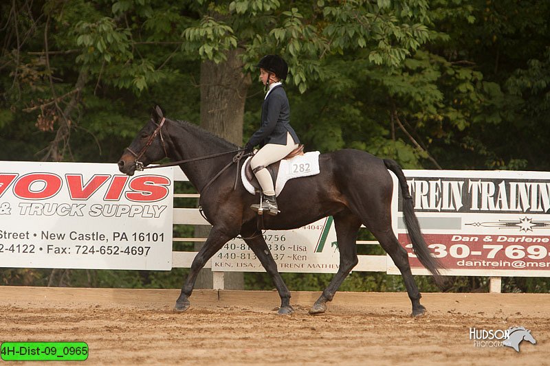 4H-Dist-09_0965.jpg