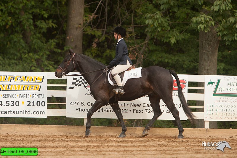 4H-Dist-09_0966.jpg