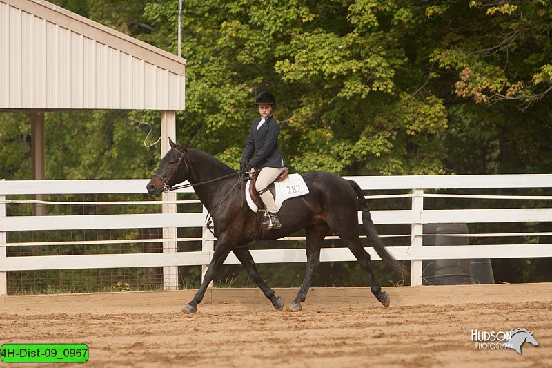 4H-Dist-09_0967.jpg