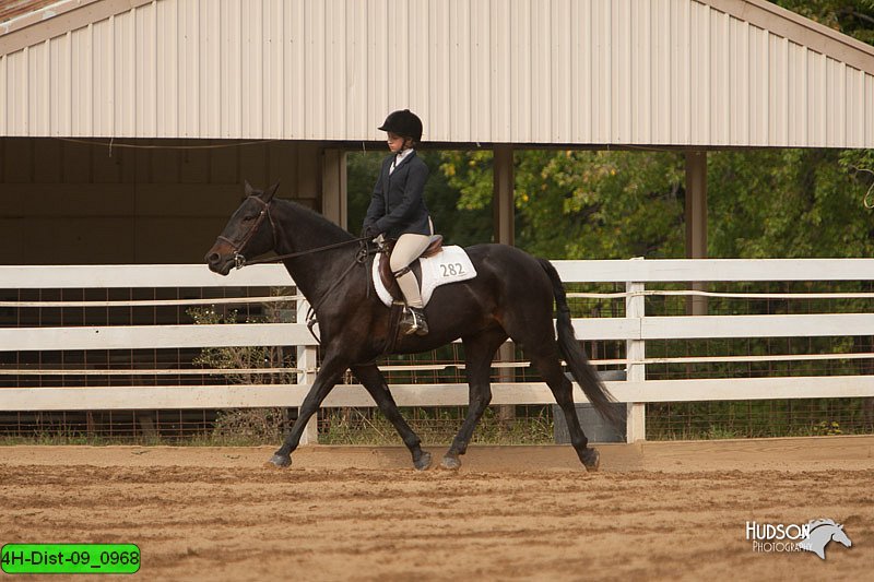 4H-Dist-09_0968.jpg