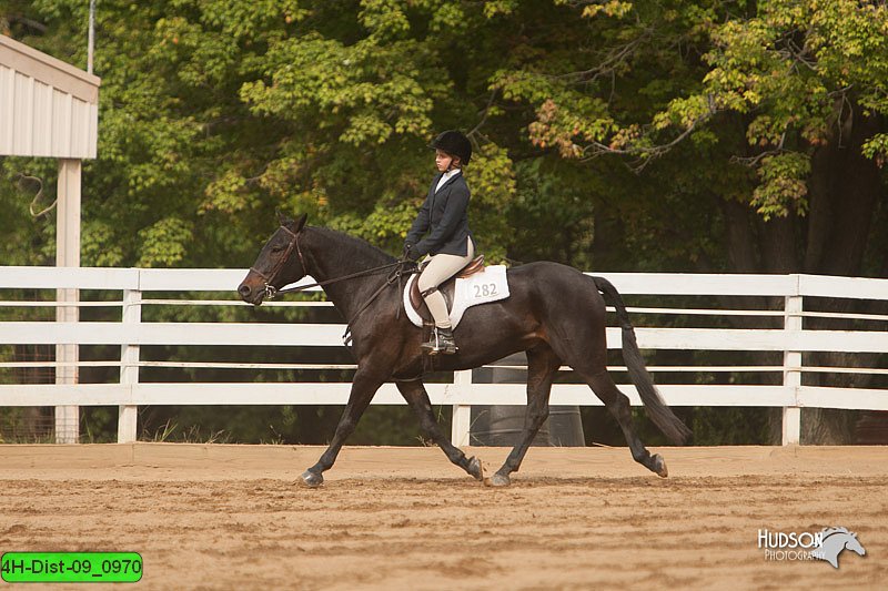 4H-Dist-09_0970.jpg
