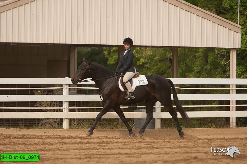 4H-Dist-09_0971.jpg