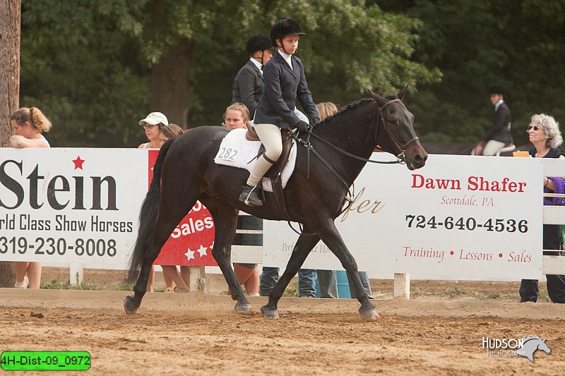 4H-Dist-09_0972.jpg