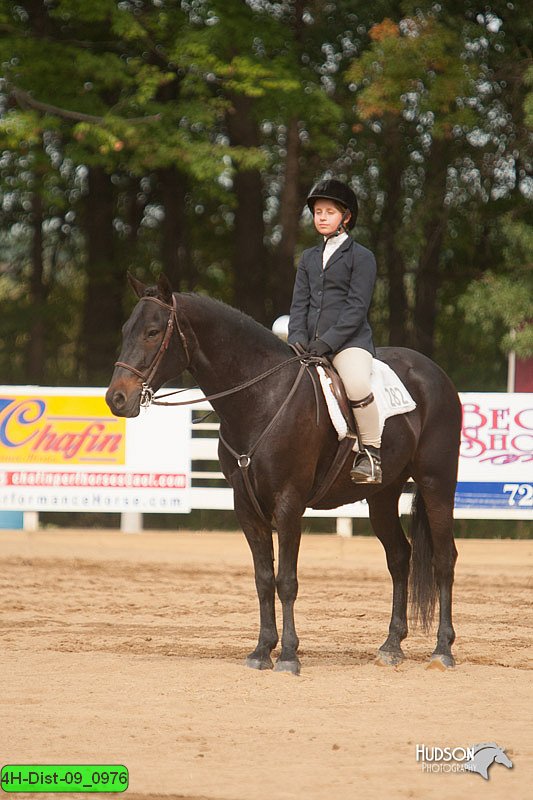 4H-Dist-09_0976.jpg