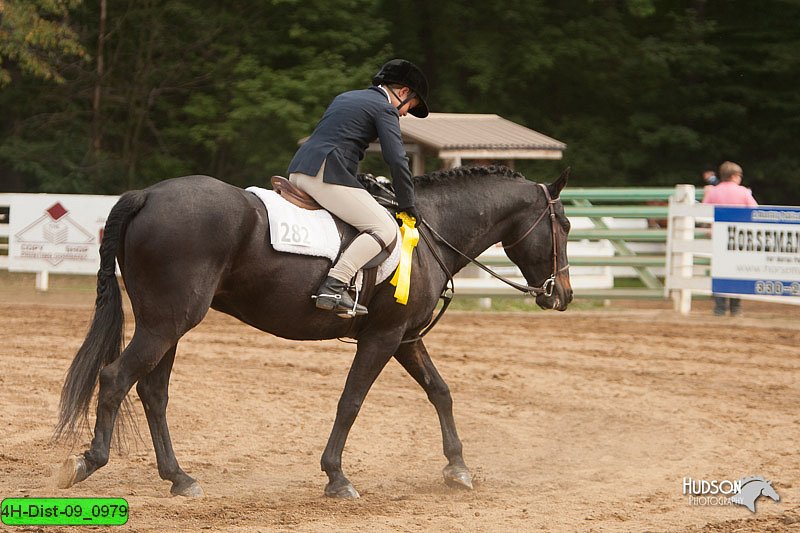 4H-Dist-09_0979.jpg