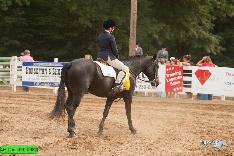 4H-Dist-09_0980.jpg
