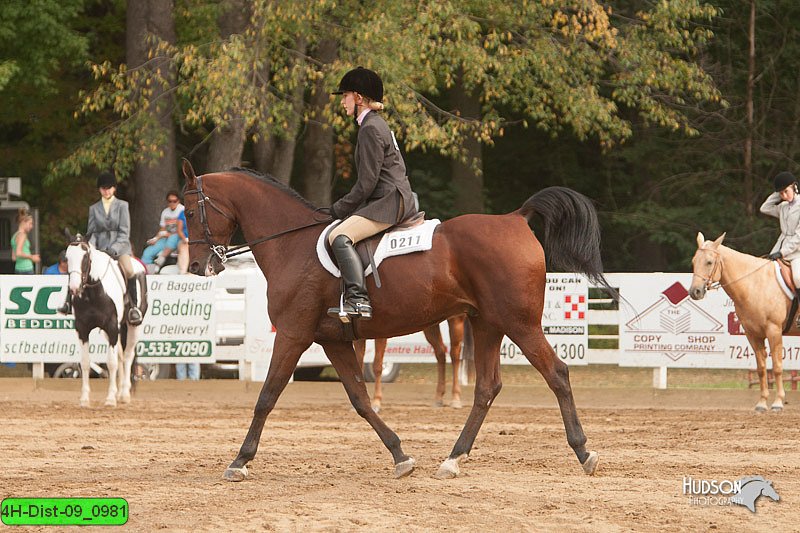 4H-Dist-09_0981.jpg