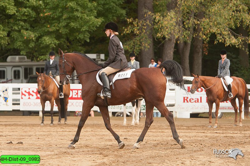 4H-Dist-09_0982.jpg