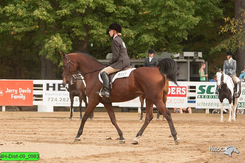 4H-Dist-09_0983.jpg