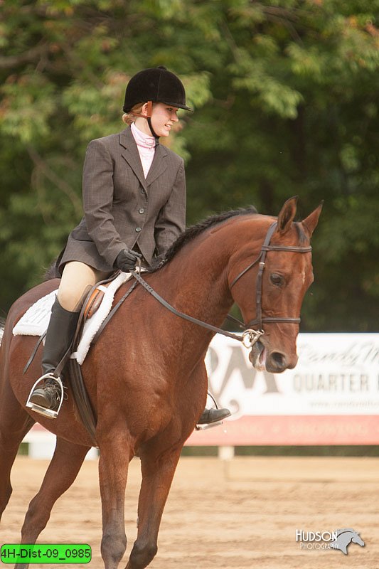 4H-Dist-09_0985.jpg