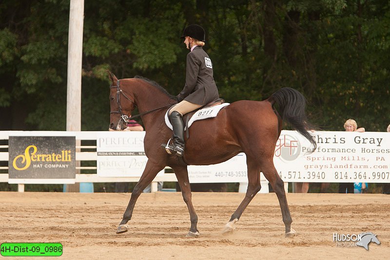 4H-Dist-09_0986.jpg