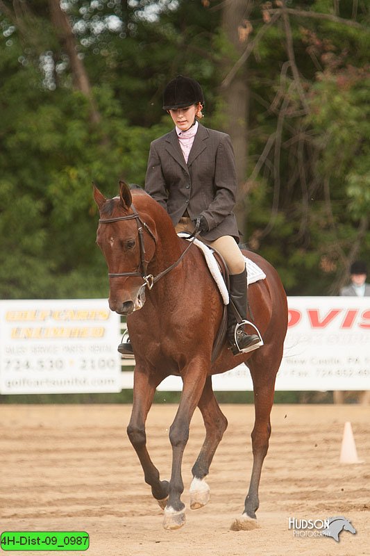 4H-Dist-09_0987.jpg