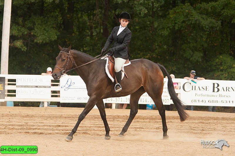 4H-Dist-09_0990.jpg