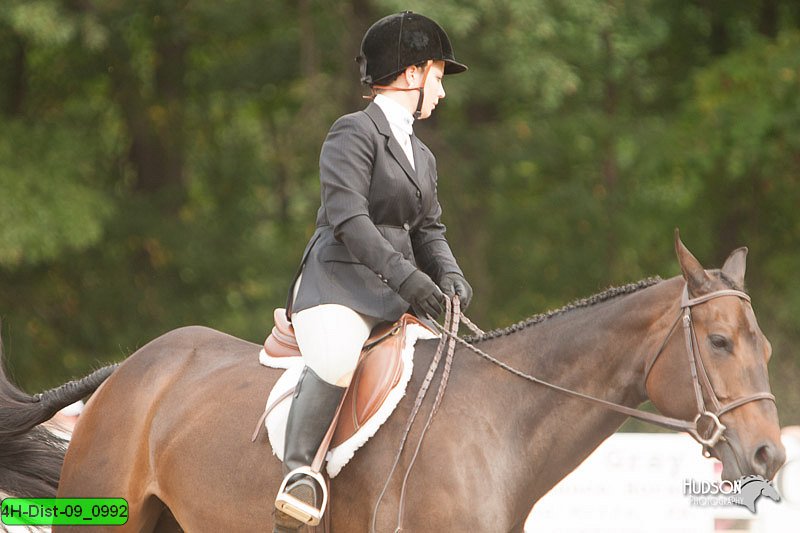 4H-Dist-09_0992.jpg