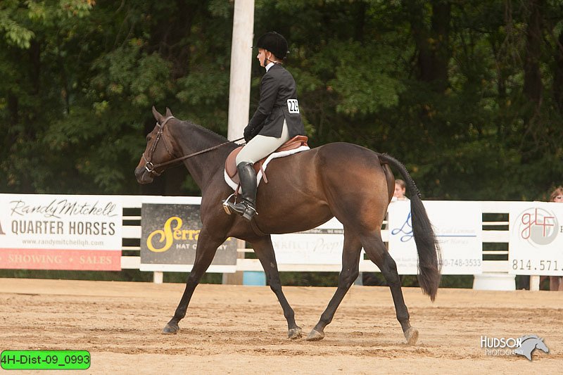 4H-Dist-09_0993.jpg