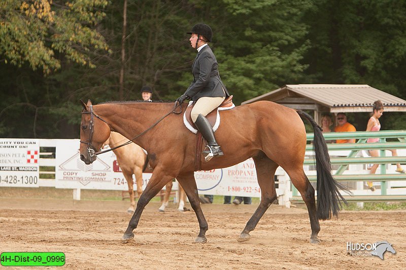 4H-Dist-09_0996.jpg
