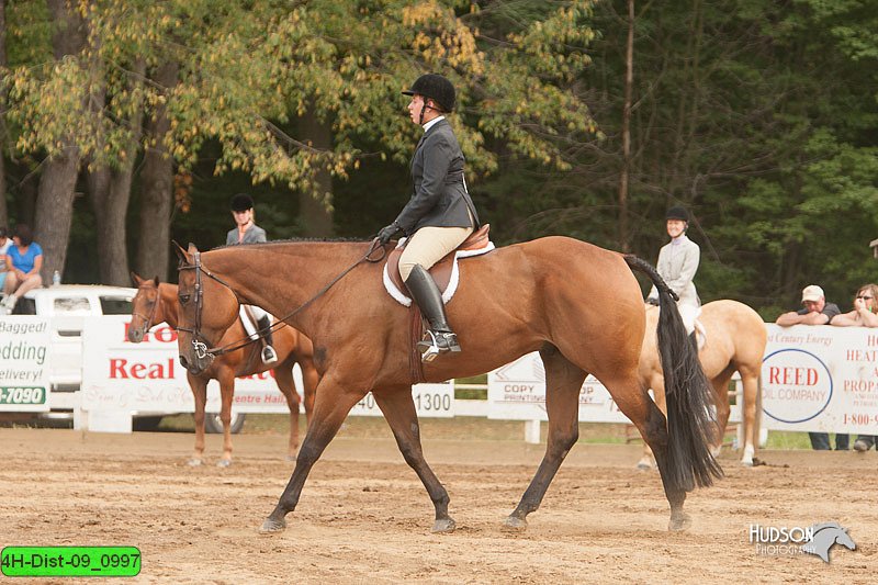 4H-Dist-09_0997.jpg