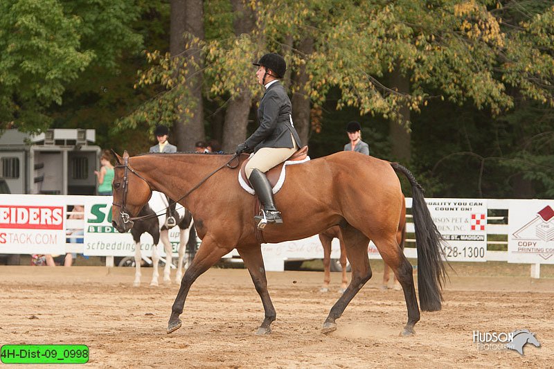 4H-Dist-09_0998.jpg