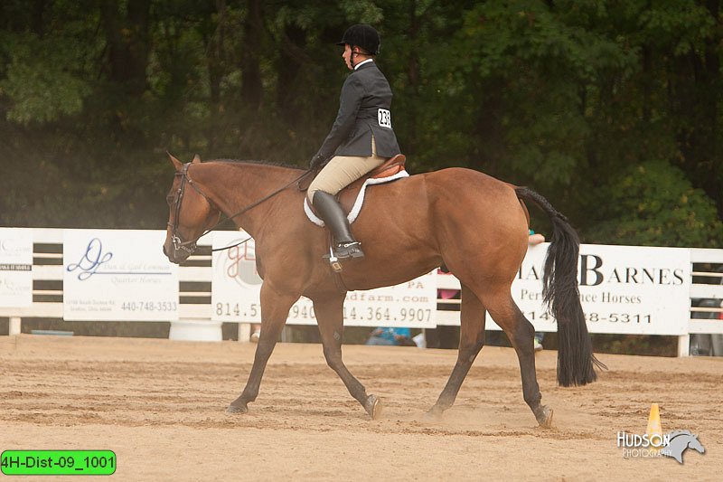 4H-Dist-09_1001.jpg