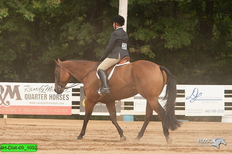 4H-Dist-09_1002.jpg