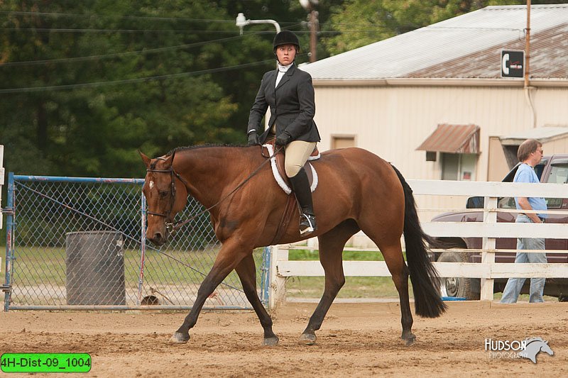 4H-Dist-09_1004.jpg