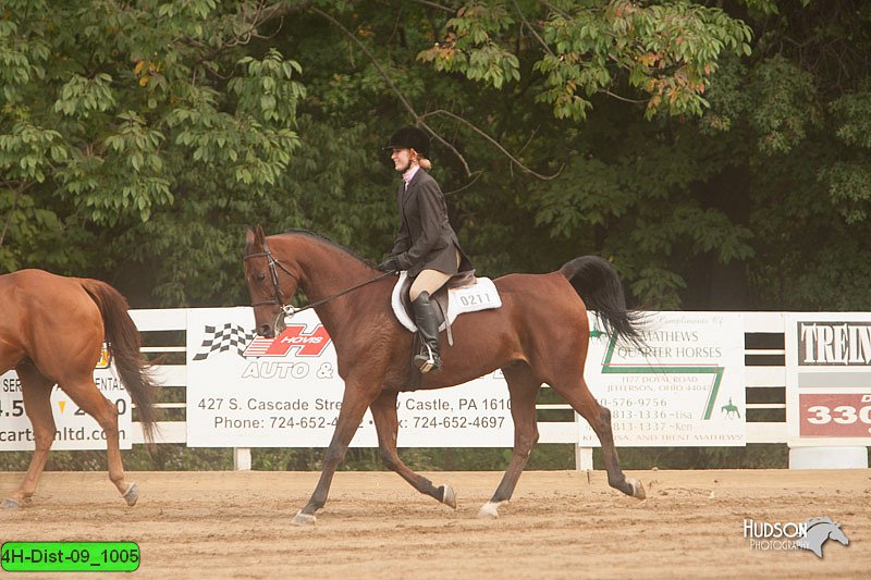 4H-Dist-09_1005.jpg