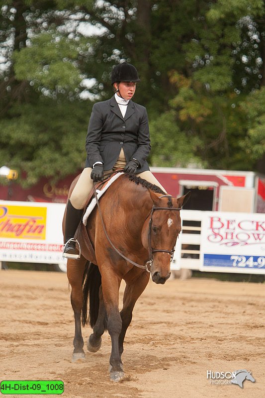 4H-Dist-09_1008.jpg
