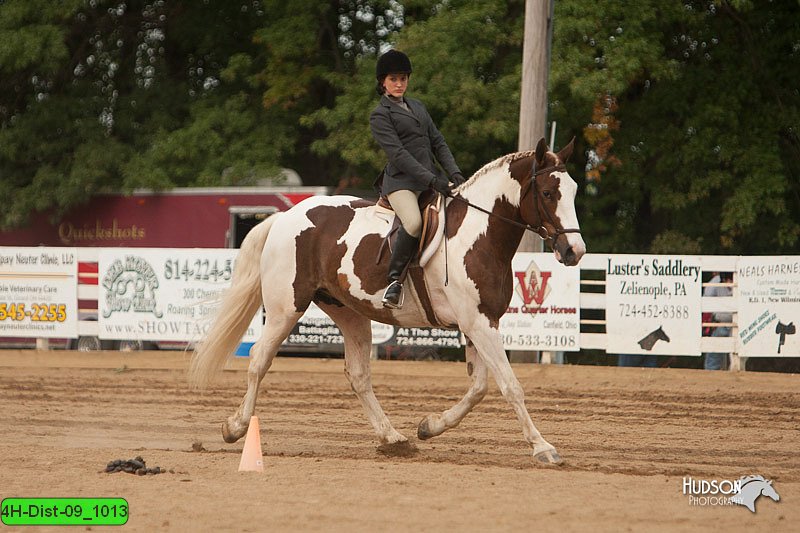 4H-Dist-09_1013.jpg