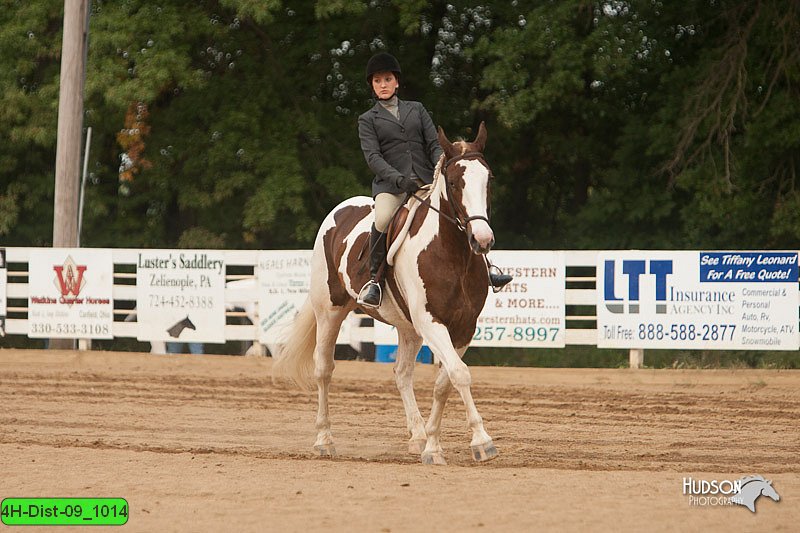 4H-Dist-09_1014.jpg