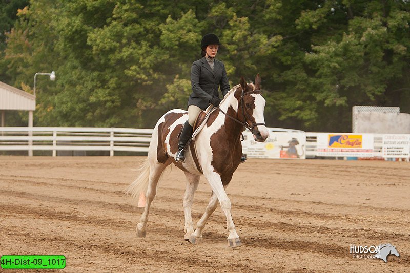 4H-Dist-09_1017.jpg