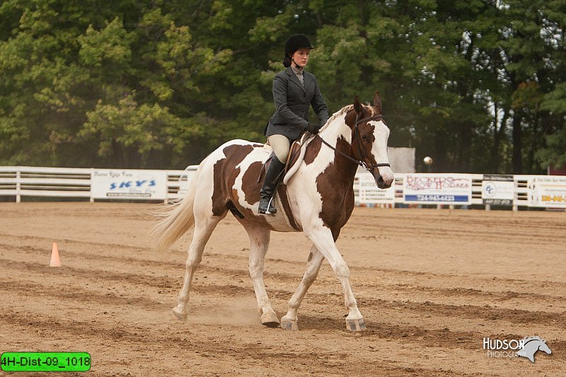 4H-Dist-09_1018.jpg