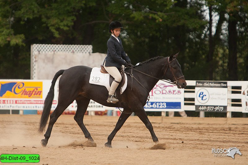 4H-Dist-09_1024.jpg